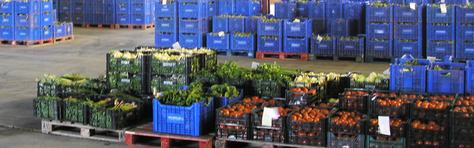 Agro-Verduras 2000 - Almoradí